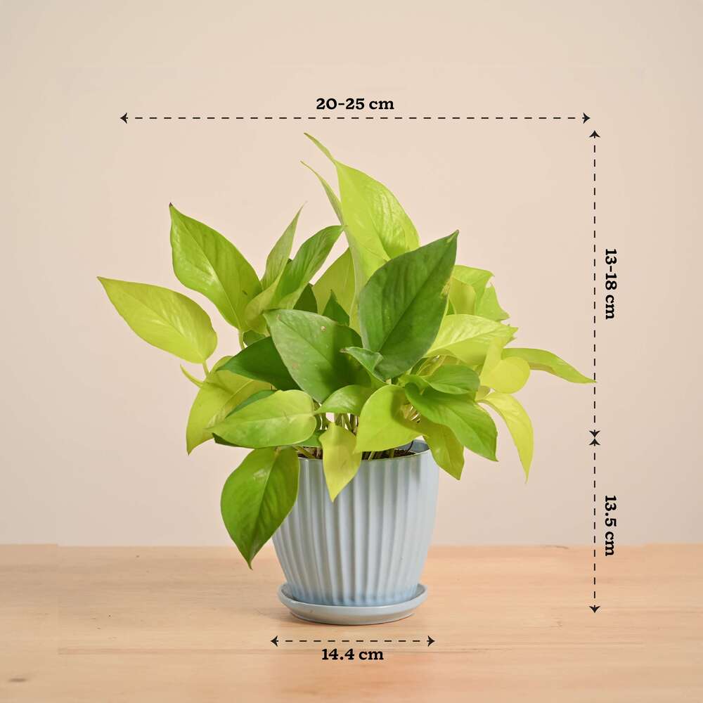 Product image 139