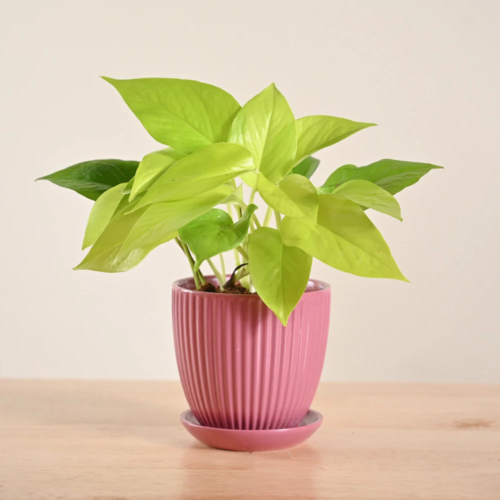 Product image 160