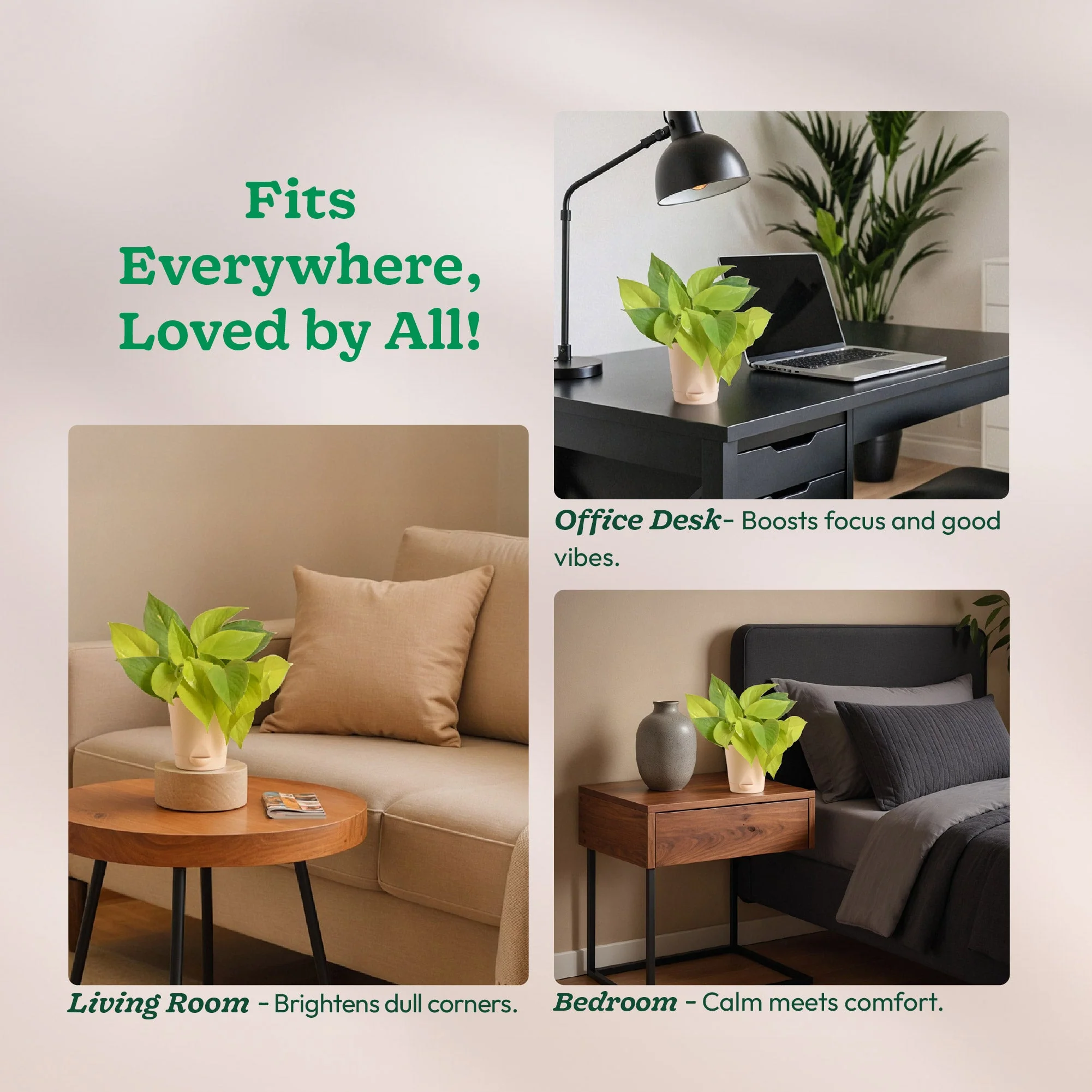 Product image 178