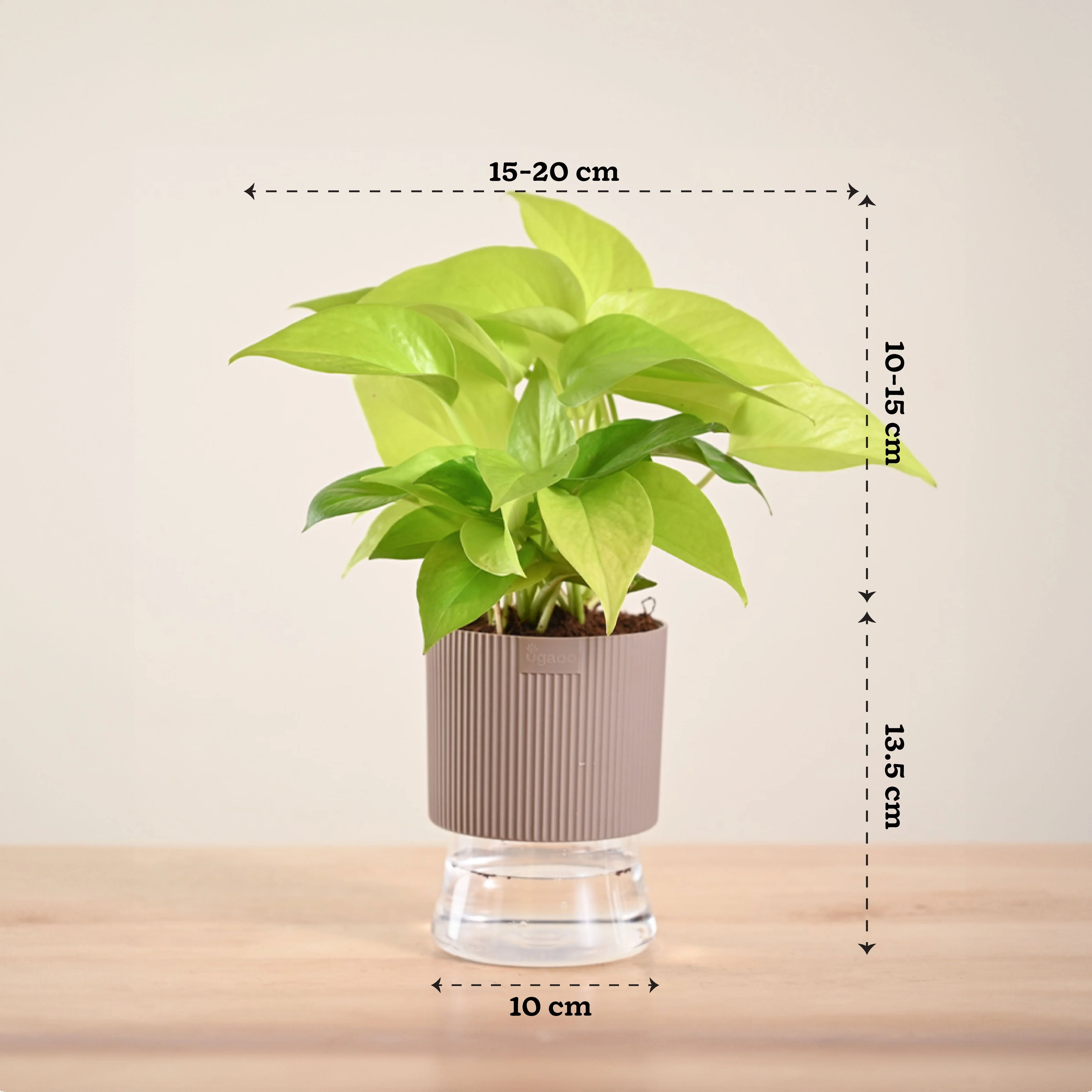 Product image 195