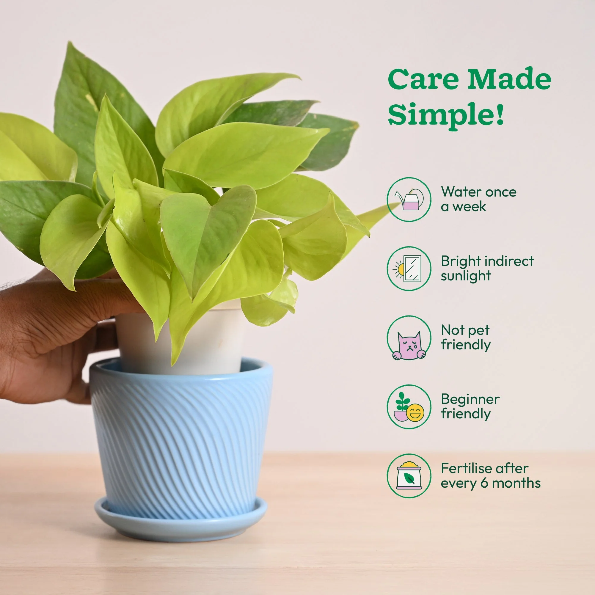 Product image 77