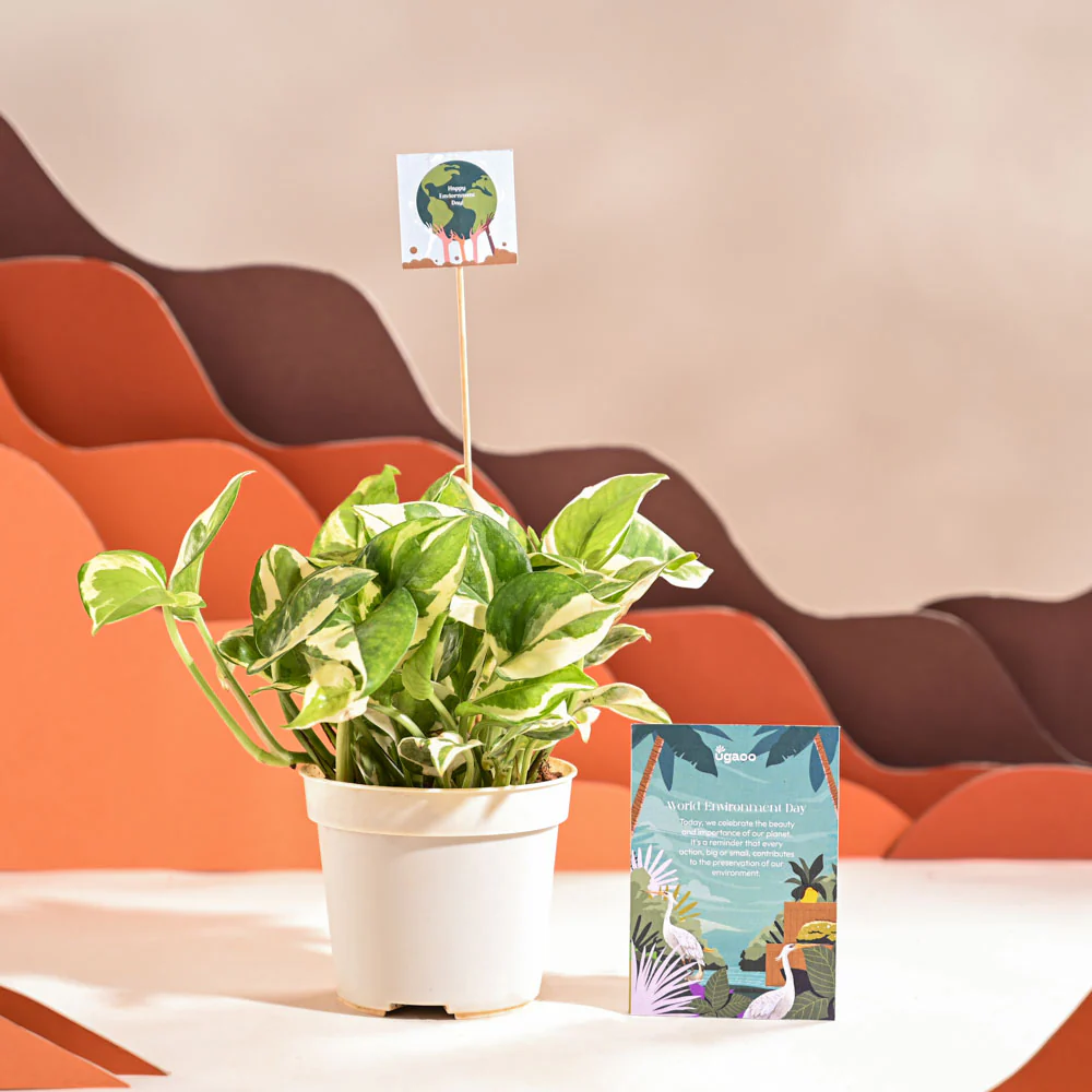 Product image 68