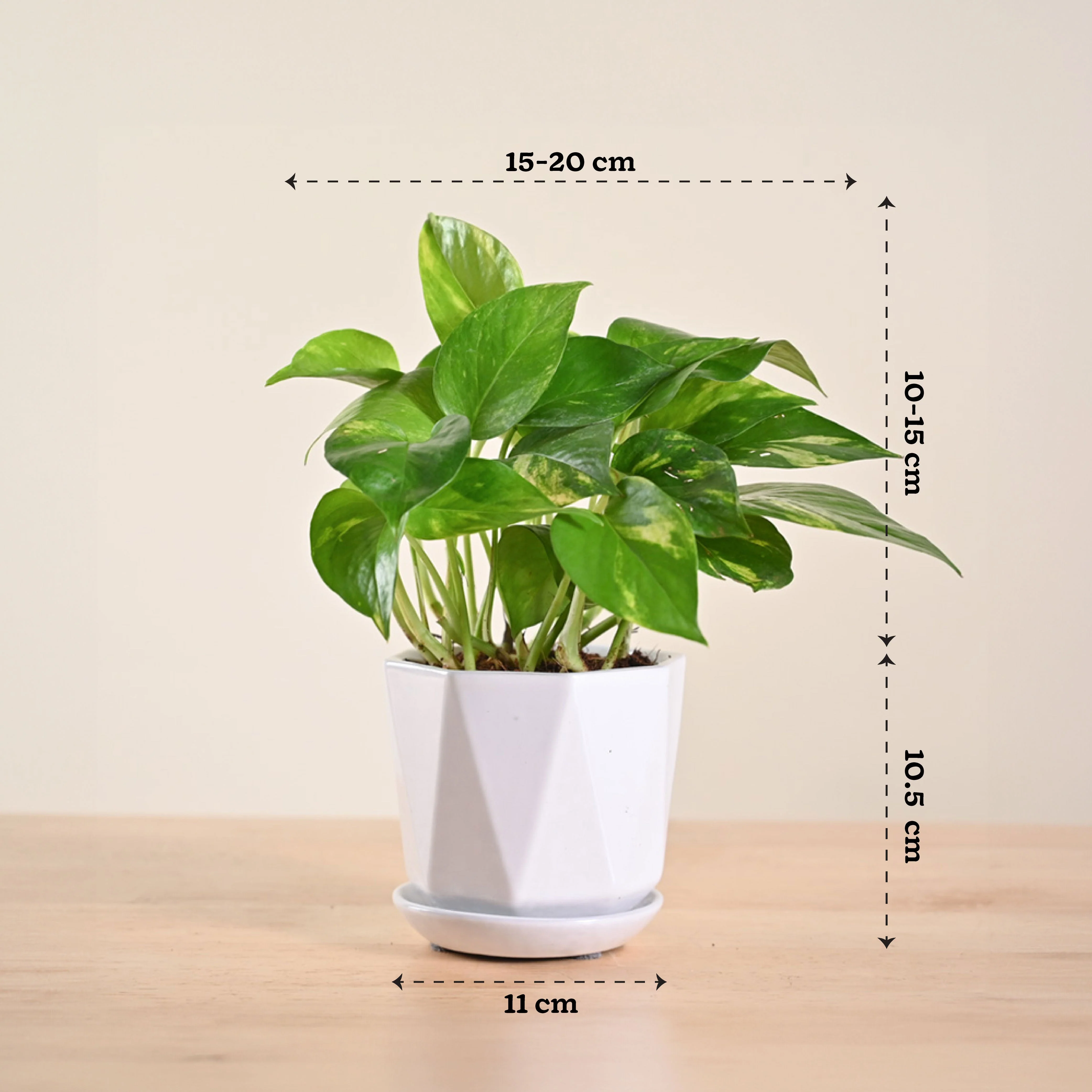 Product image 151