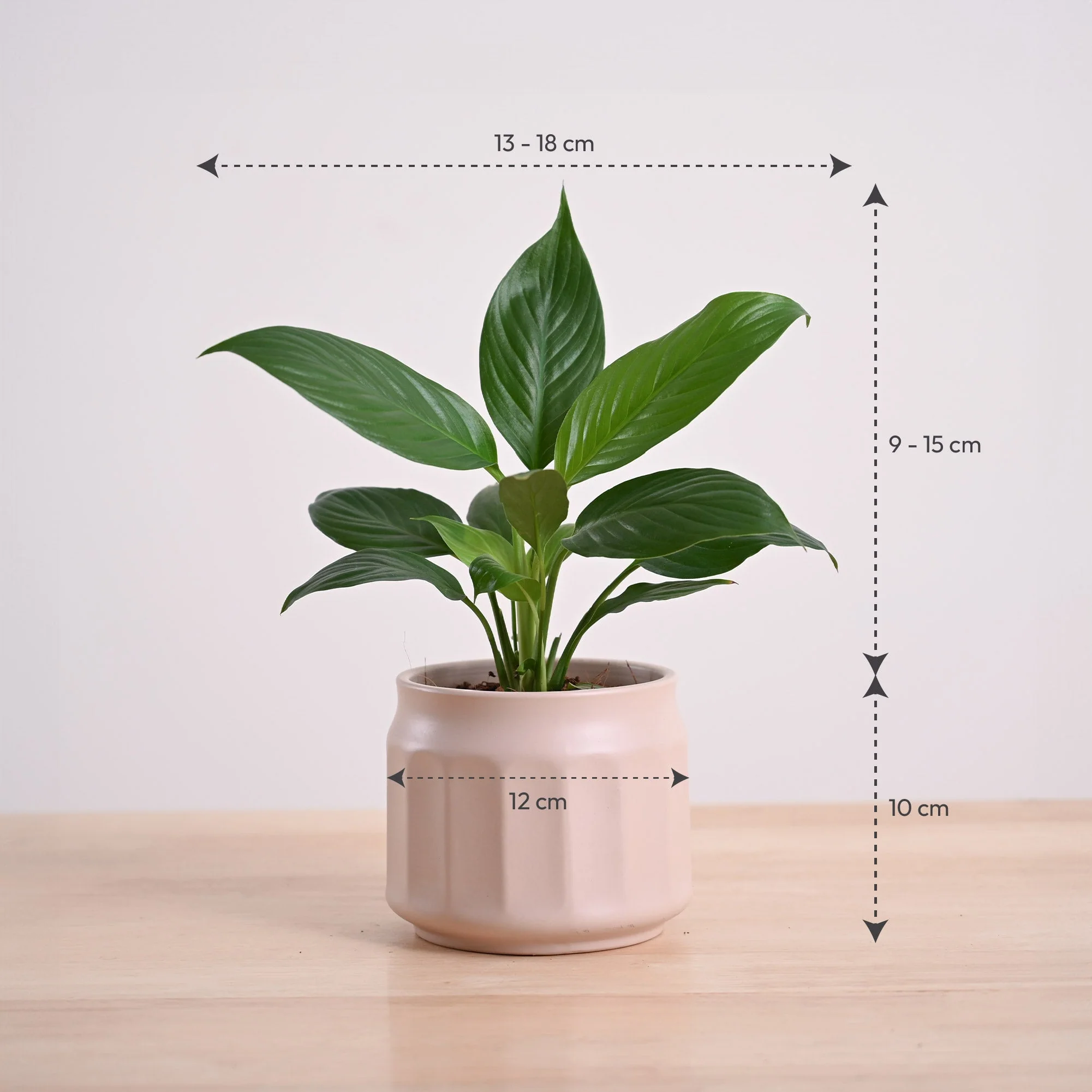 Product image 106