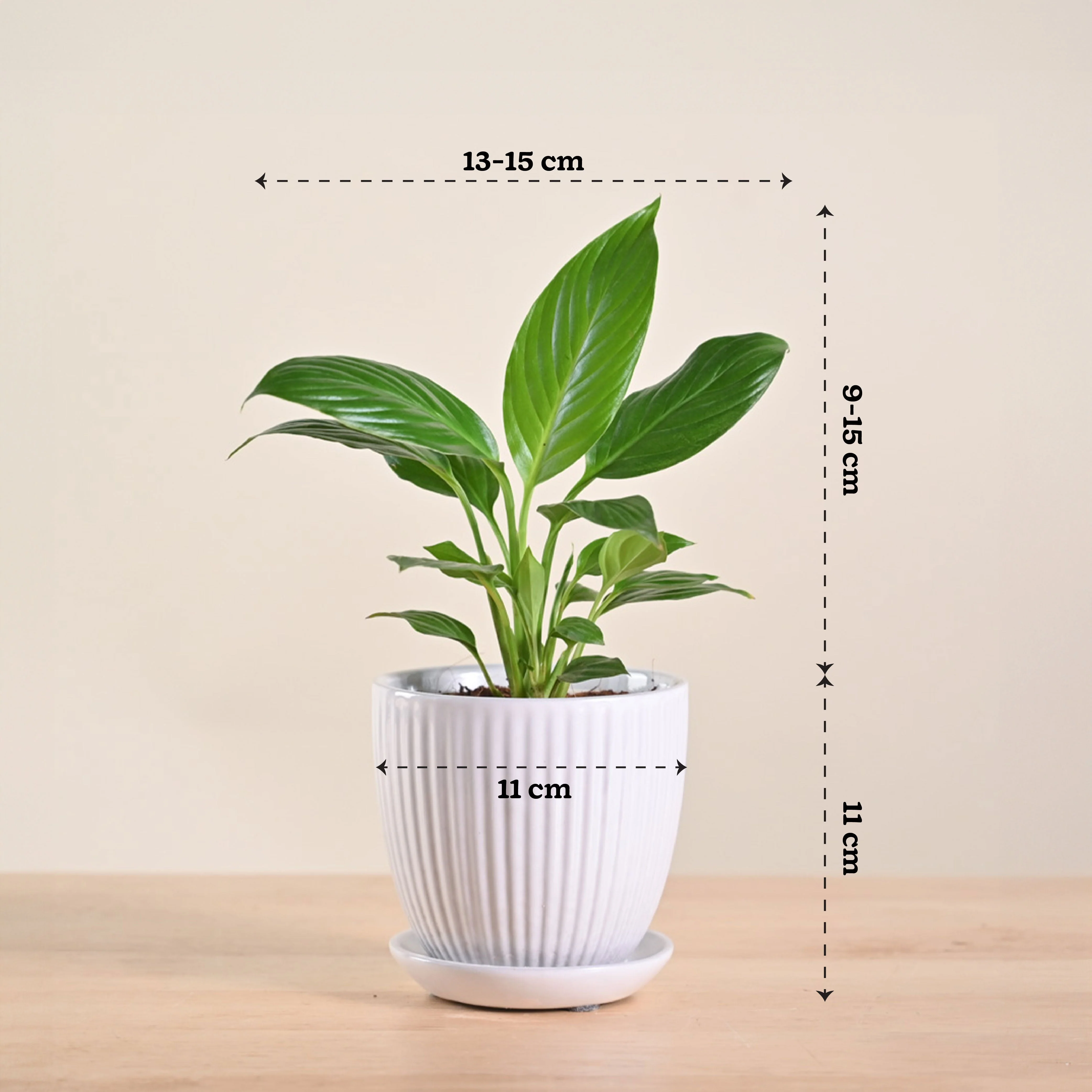 Product image 214