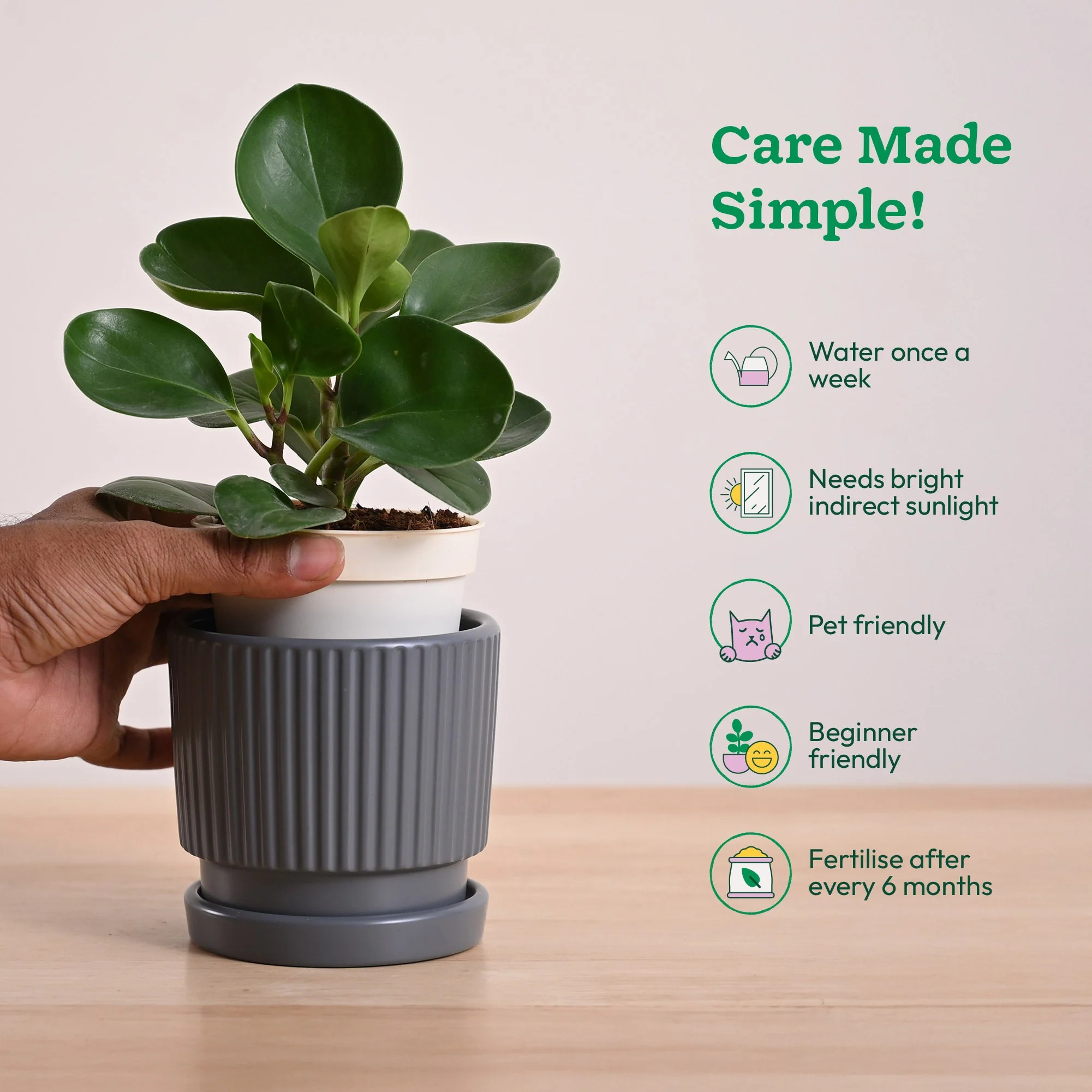 Product image 106