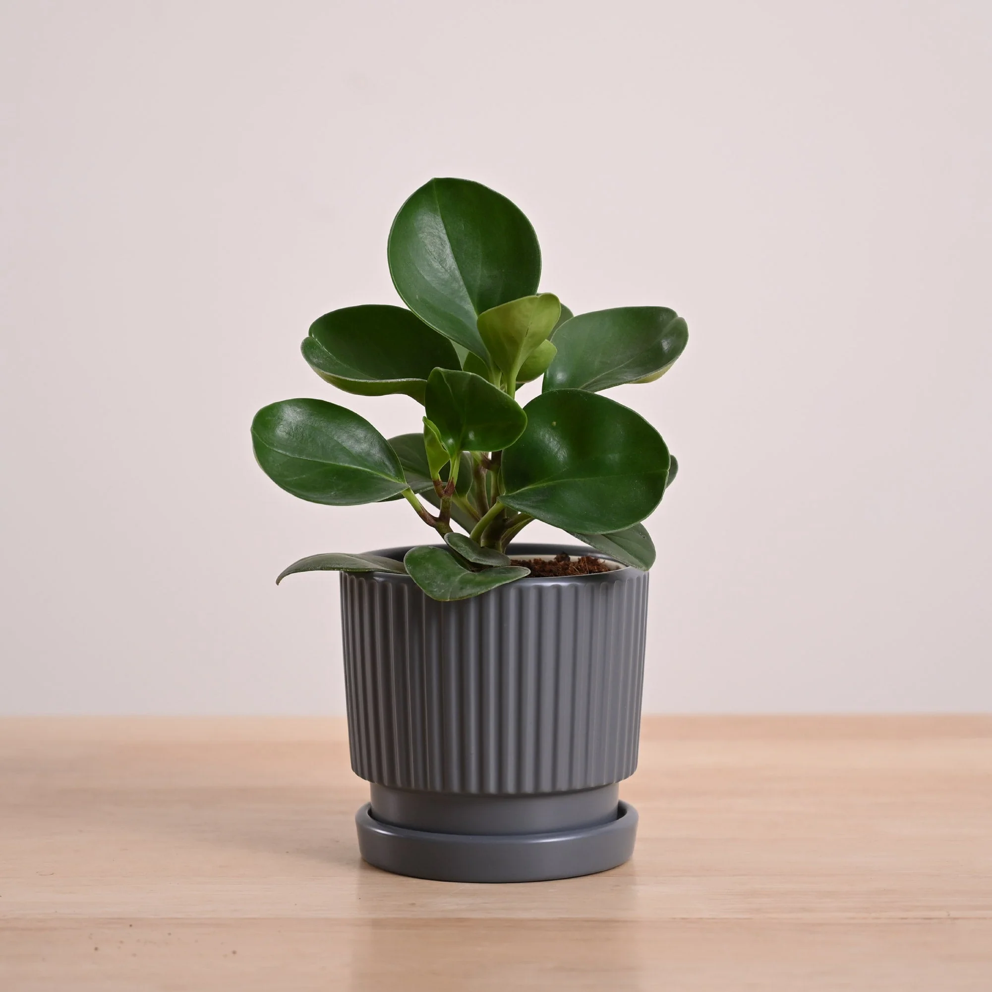 Product image 110