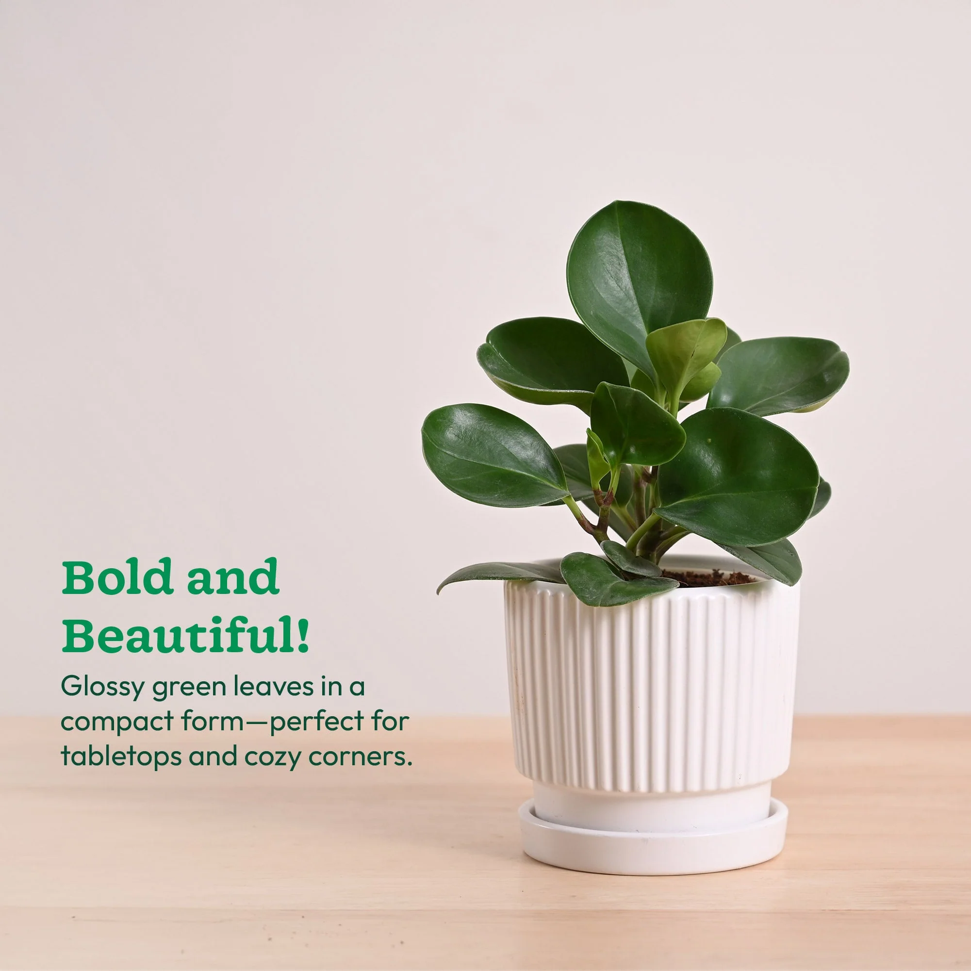 Product image 111