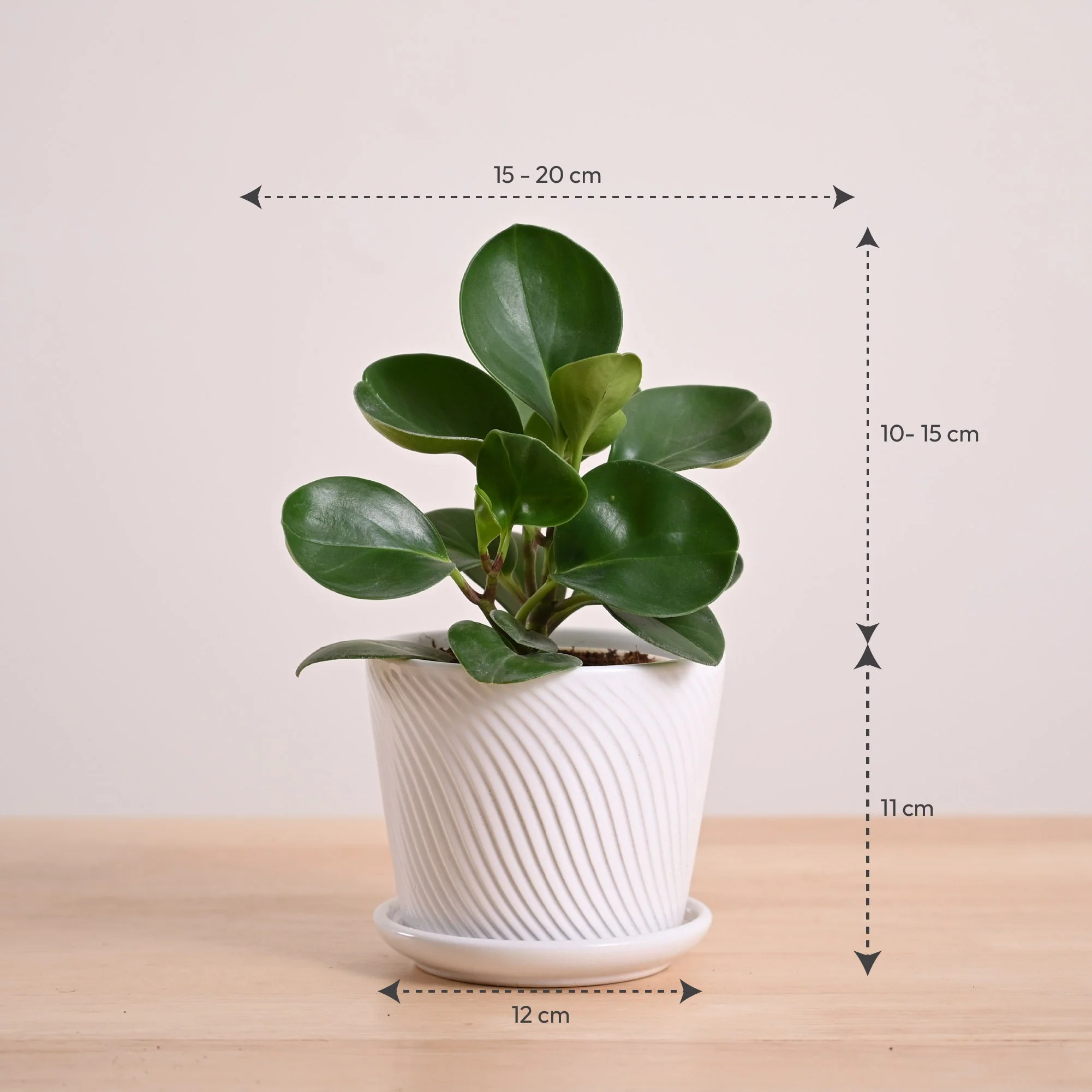 Product image 85