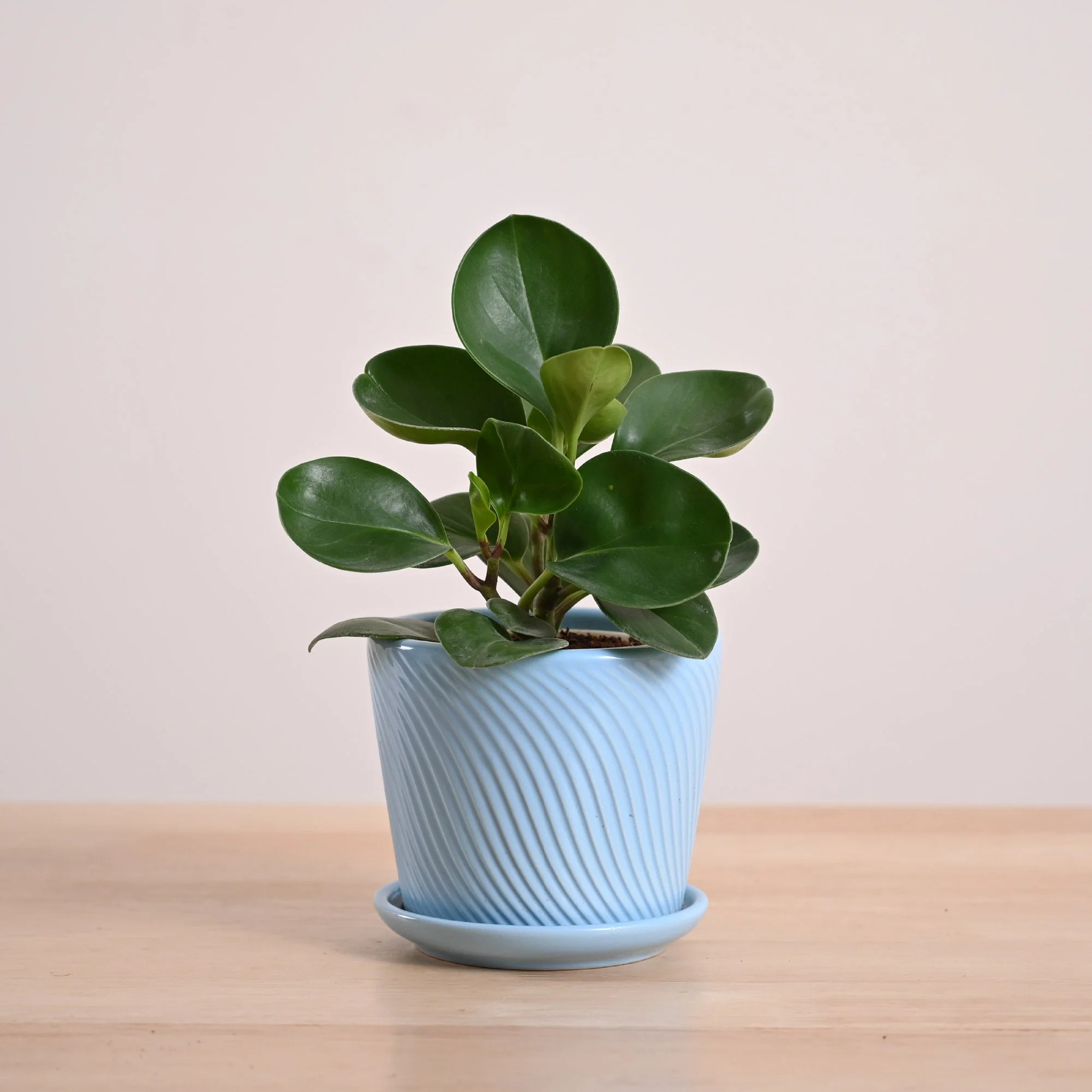 Product image 86