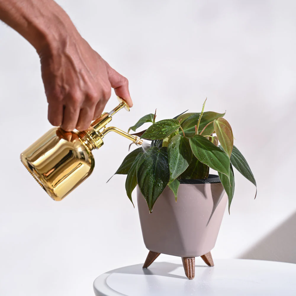 Product image 80