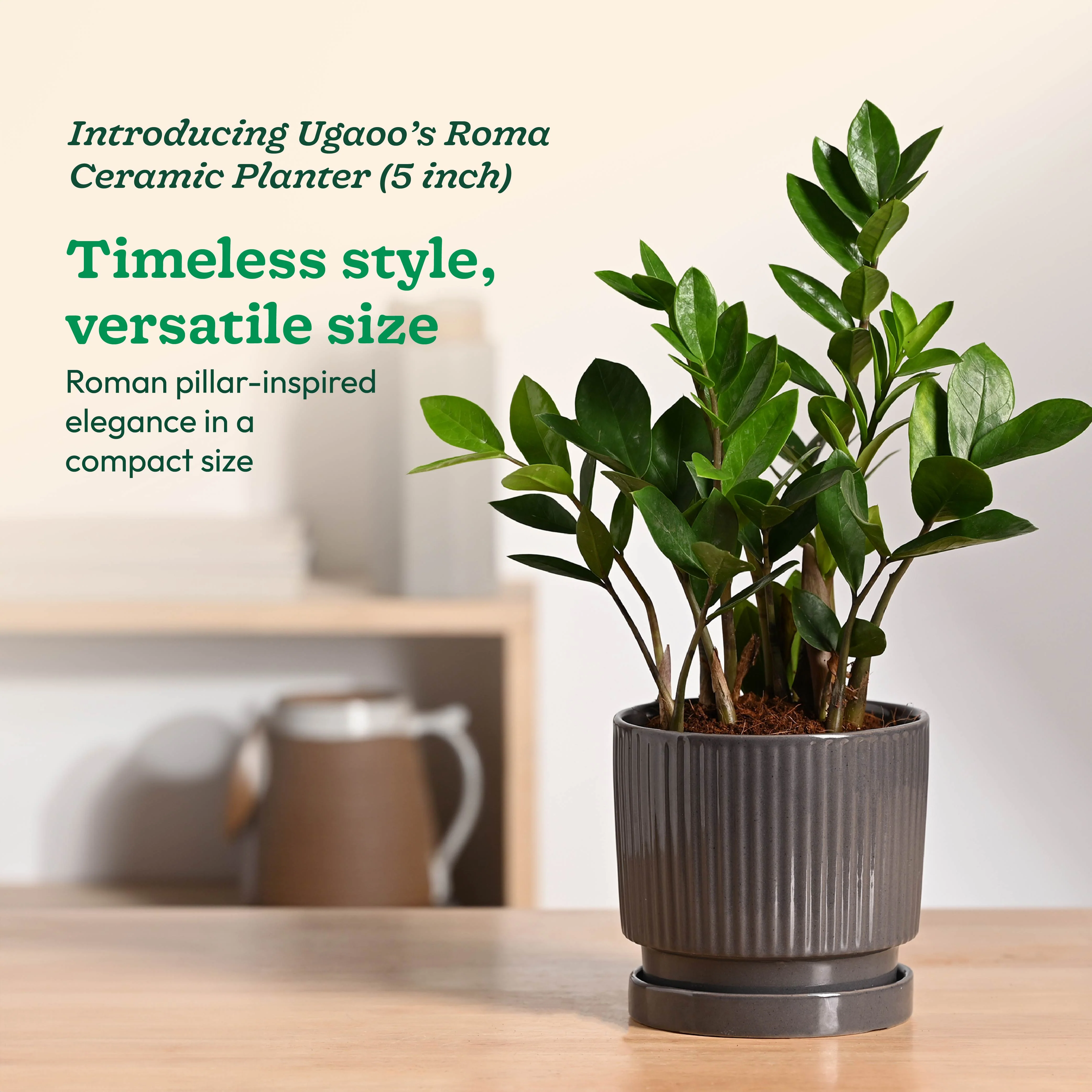Product image 57