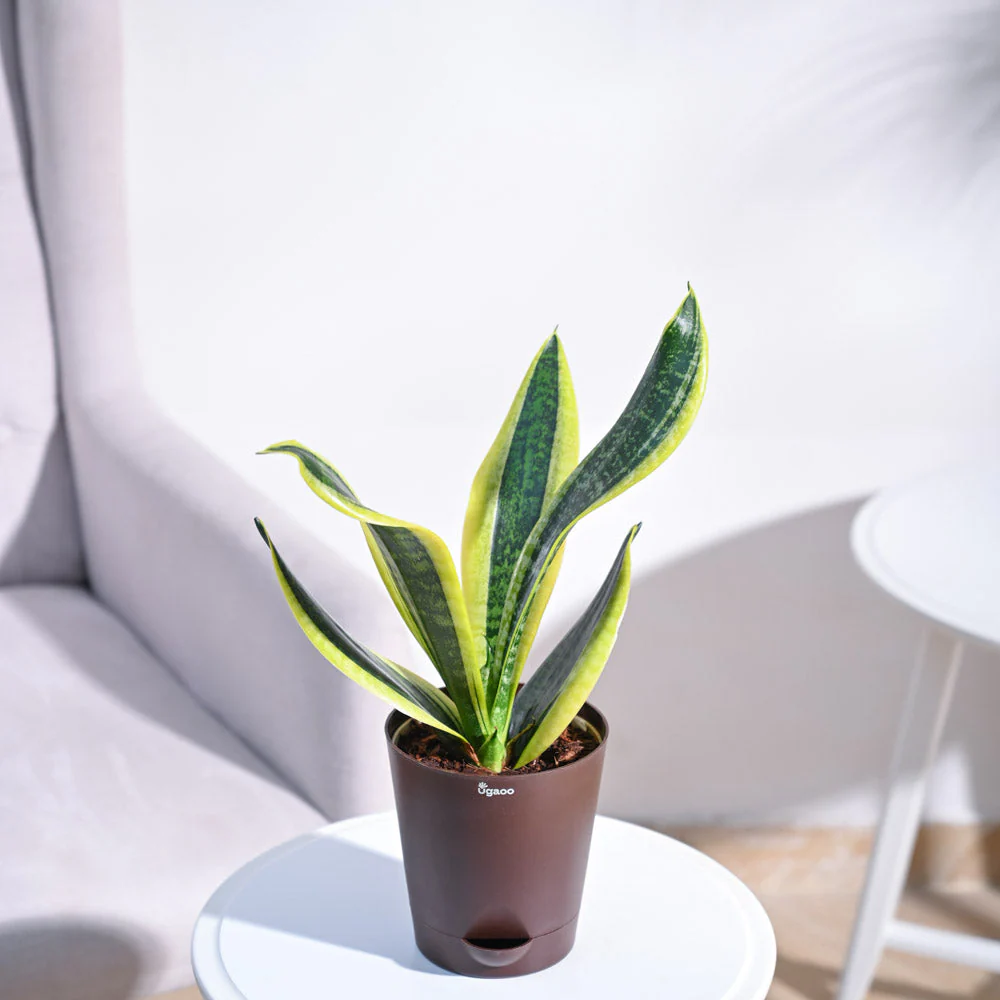 Product image 58