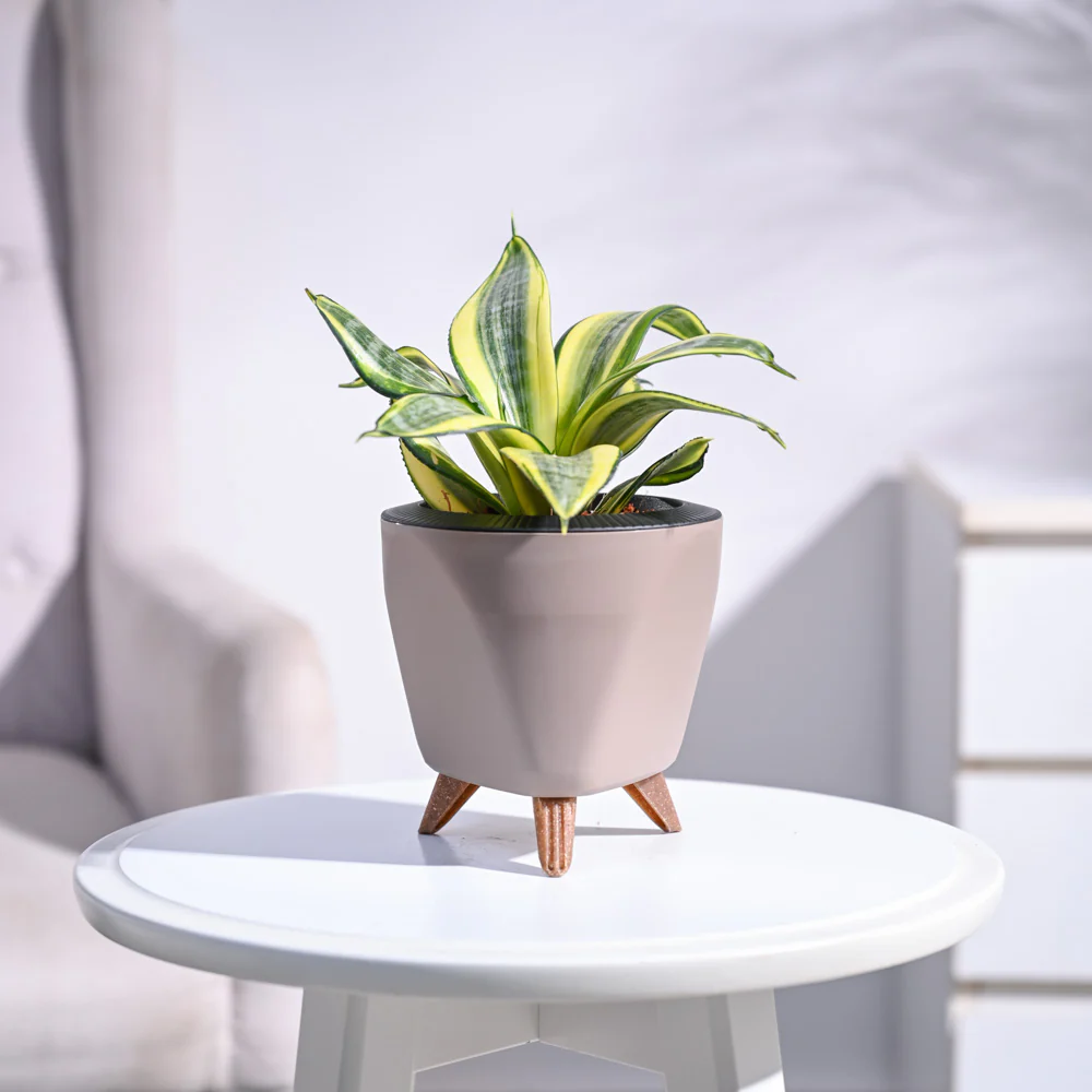 Product image 80