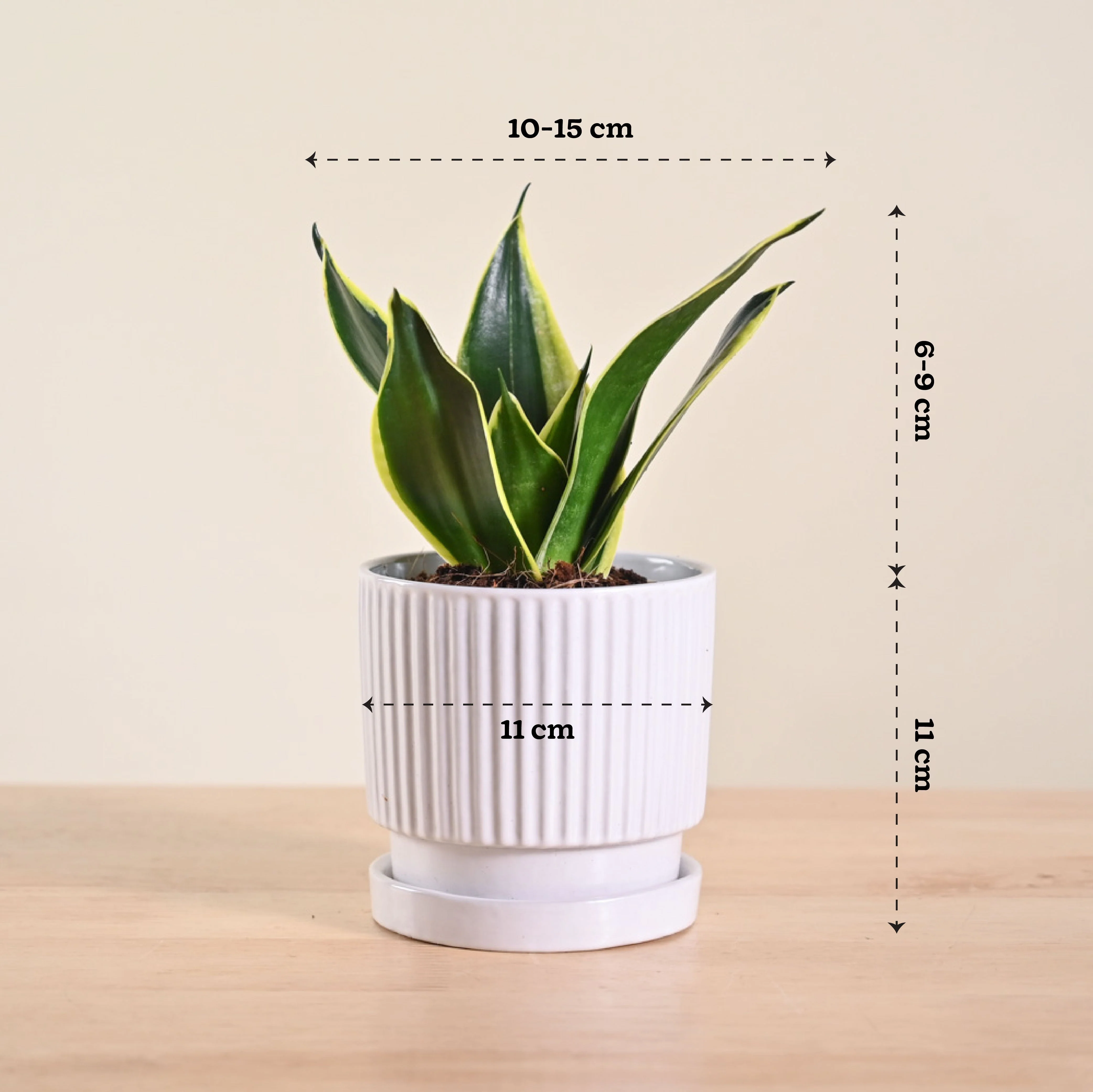 Product image 162