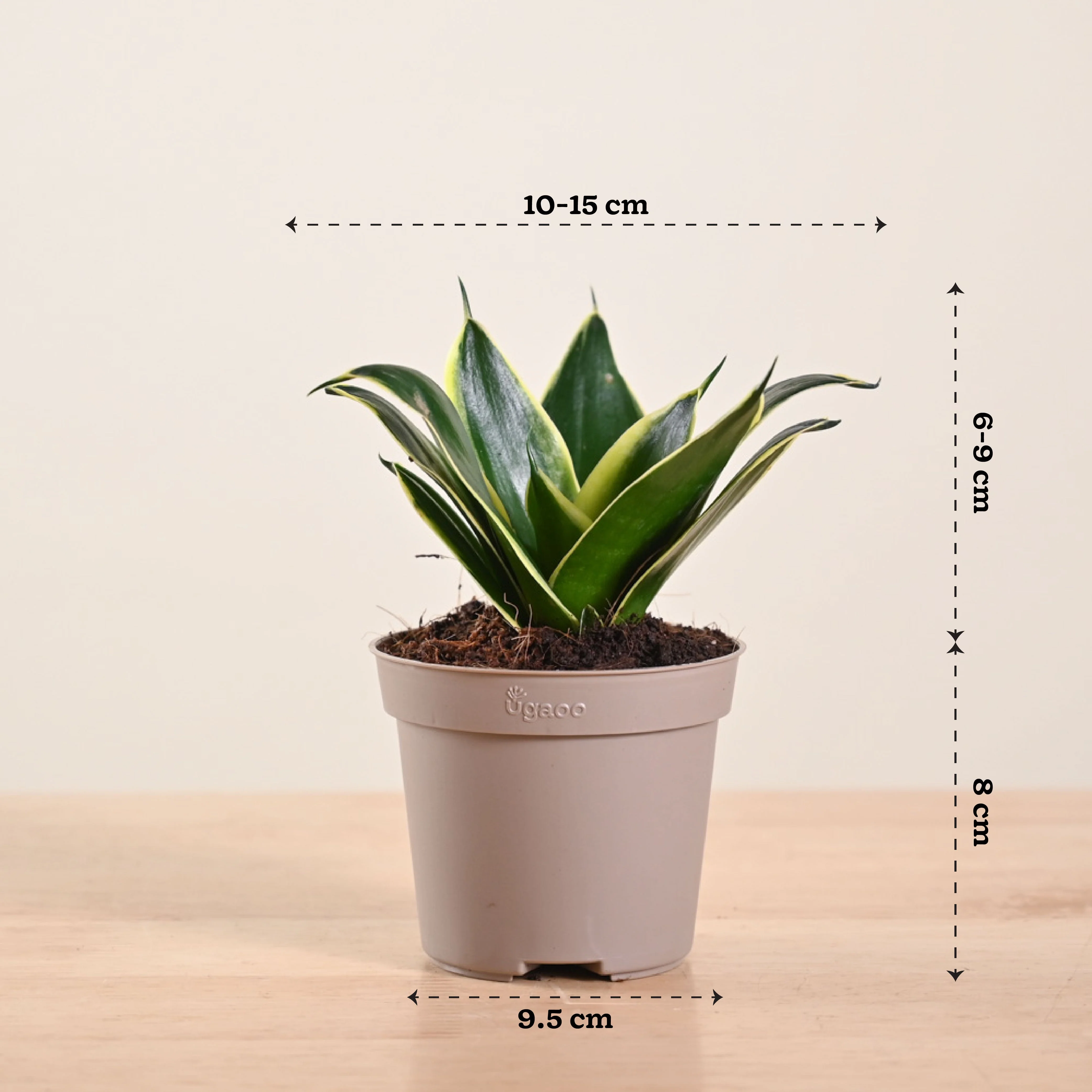 Product image 182