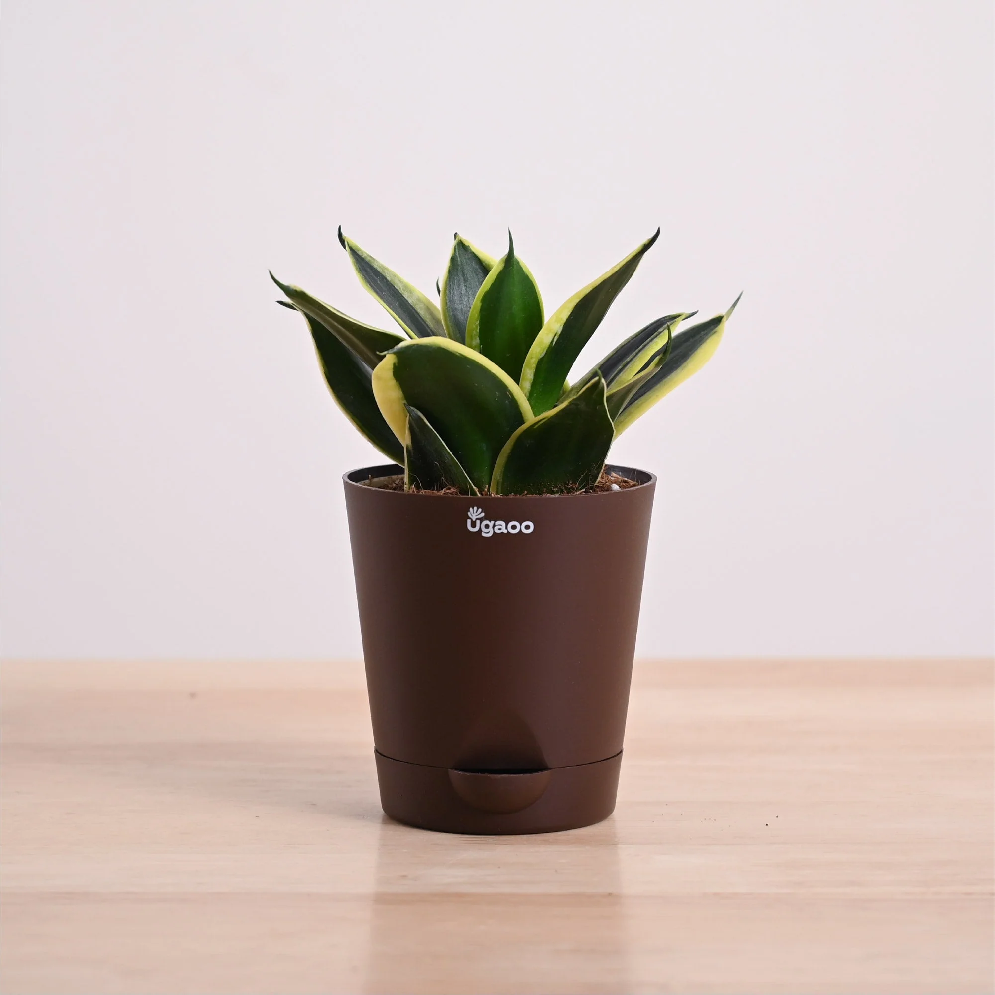 Product image 40