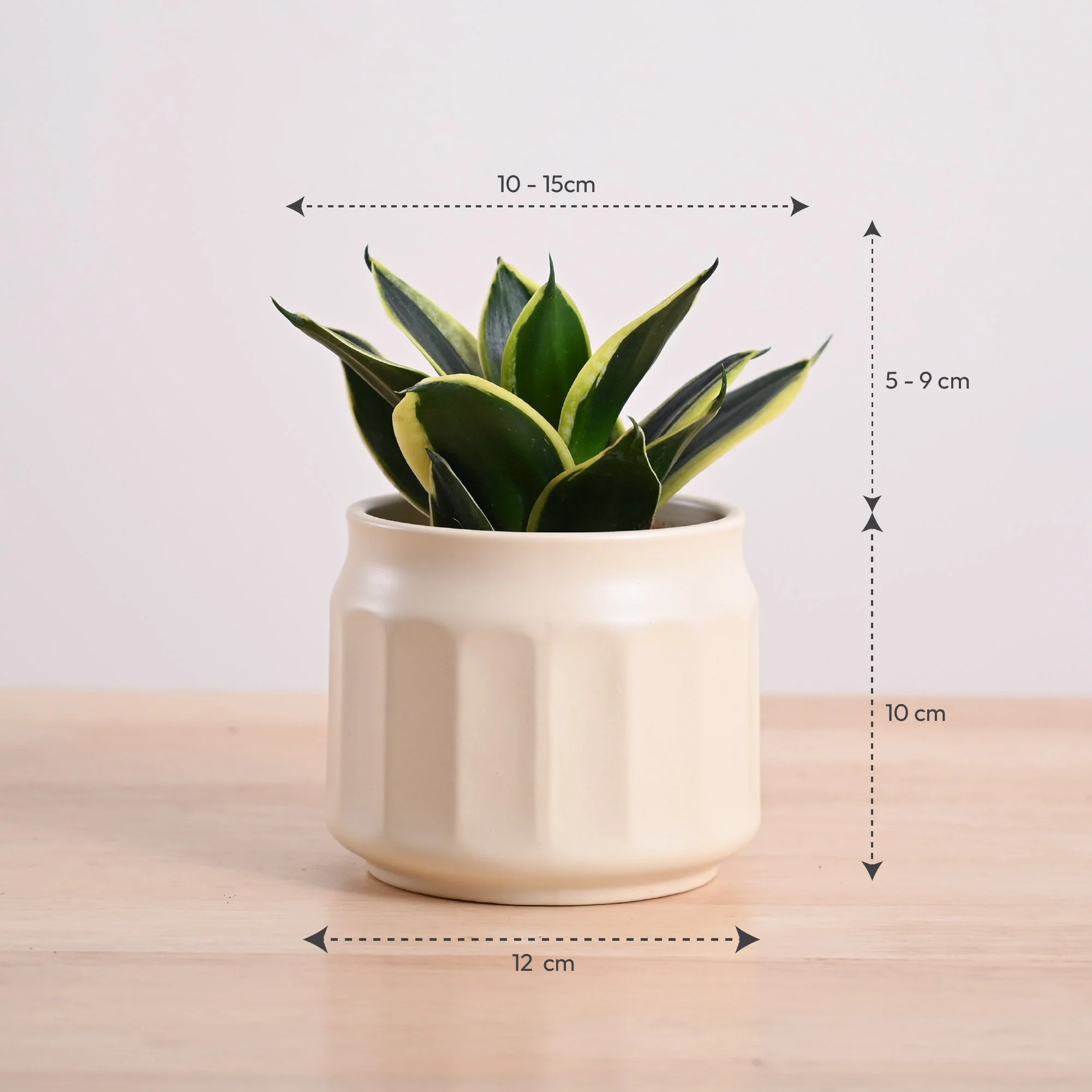 Product image 63