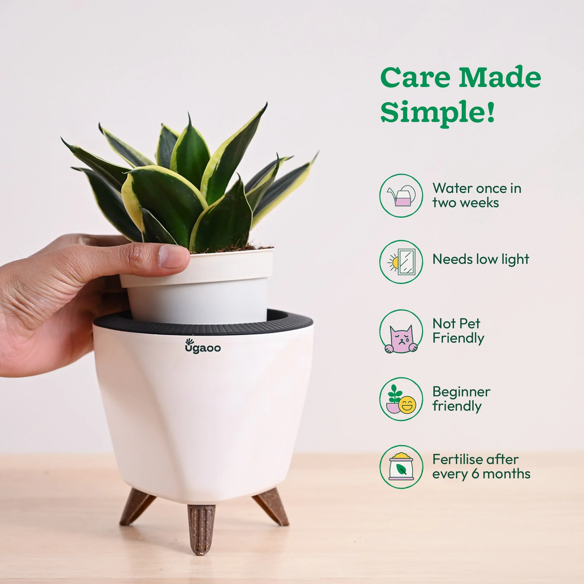 Product image 64