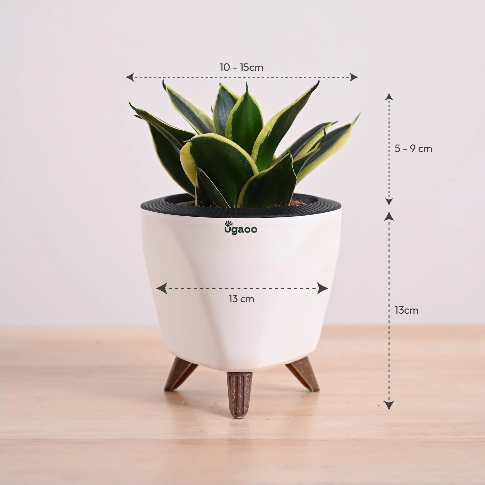 Product image 71