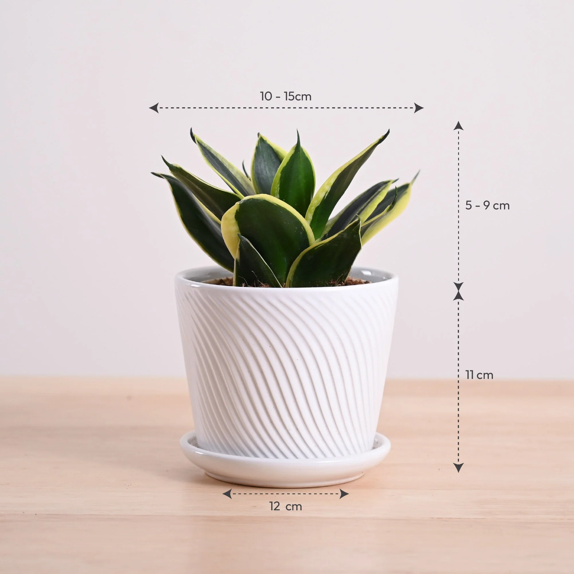 Product image 83