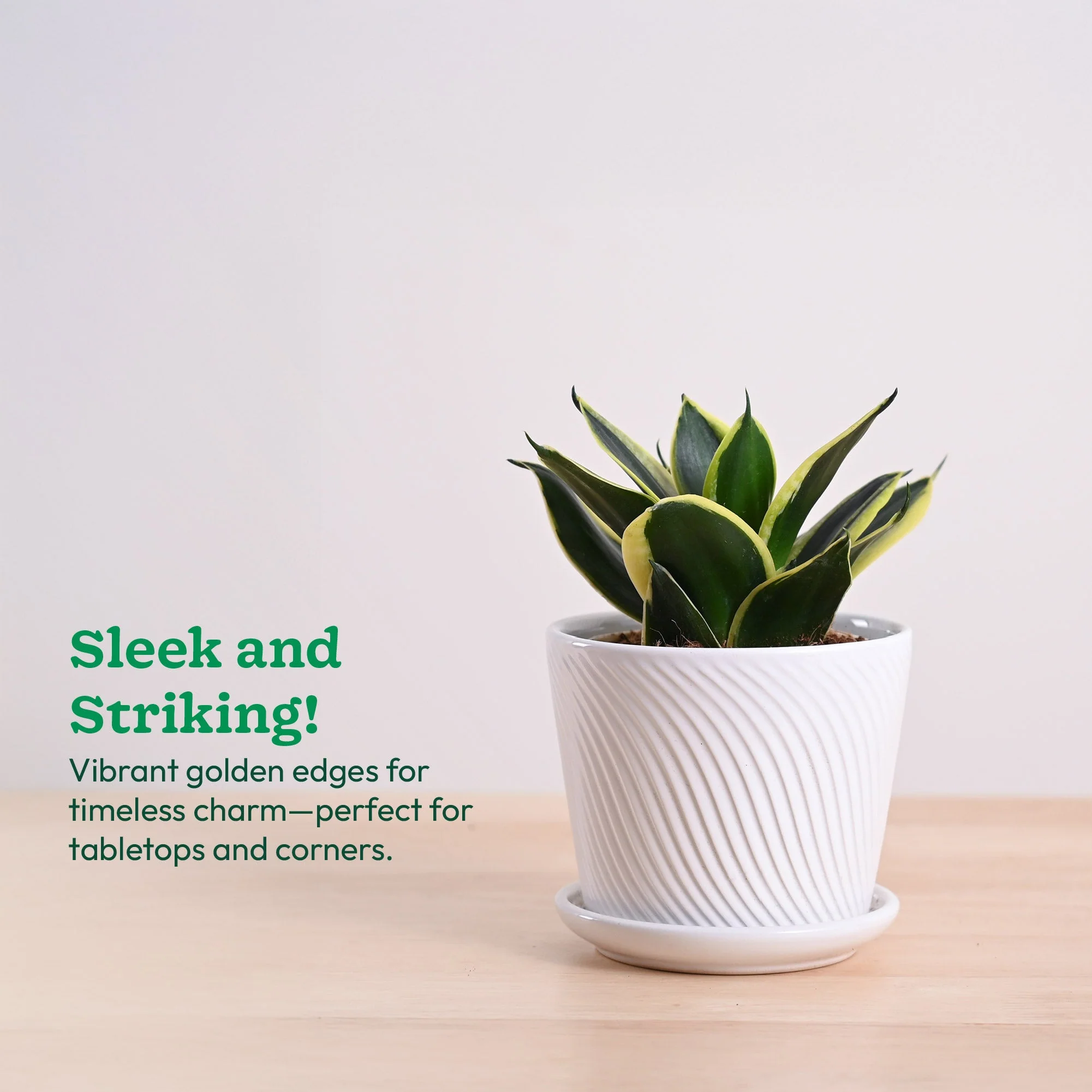 Product image 95