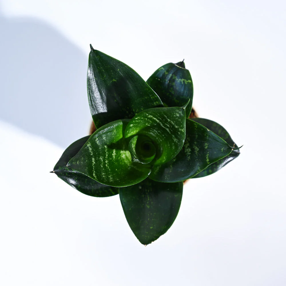 Product image 89