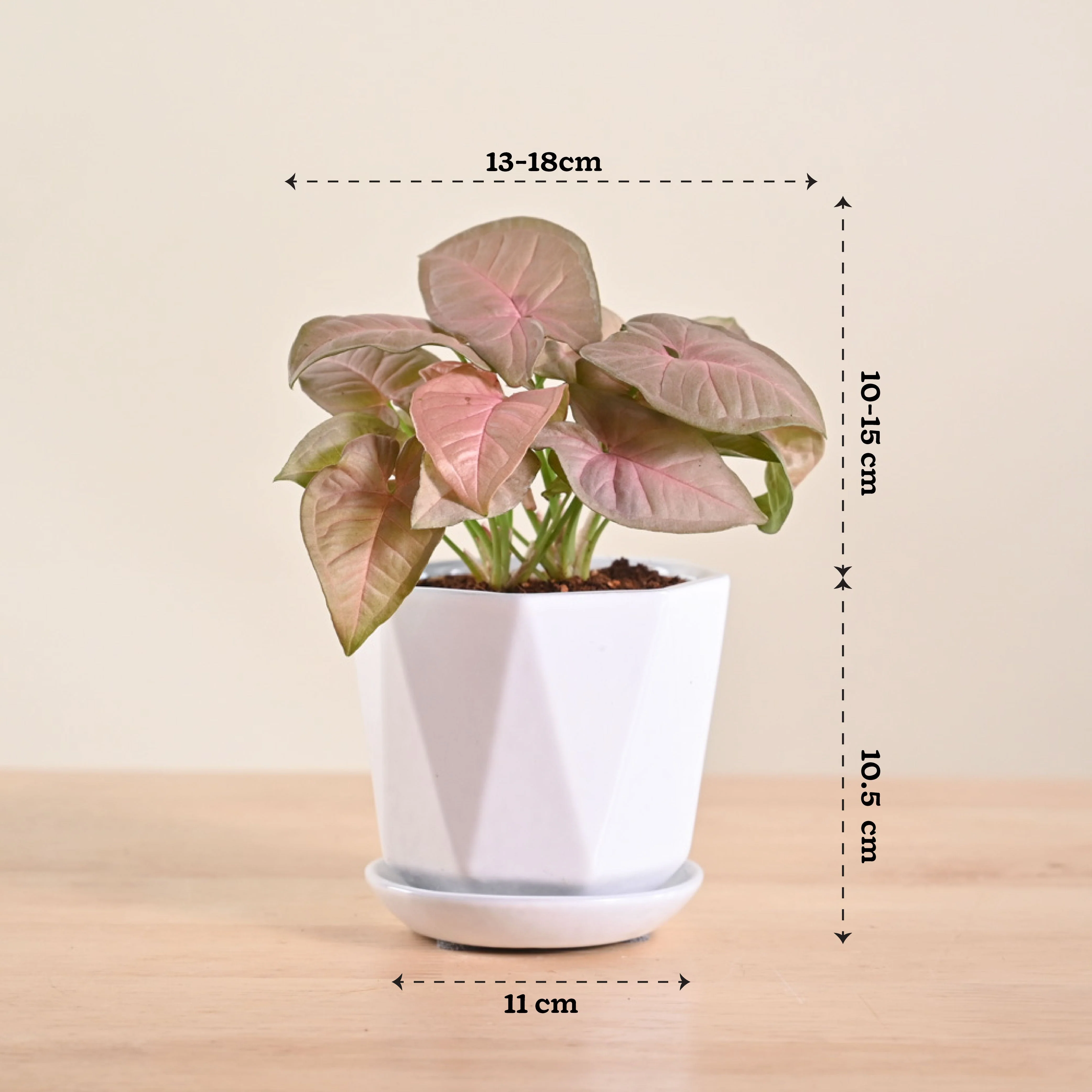 Product image 111