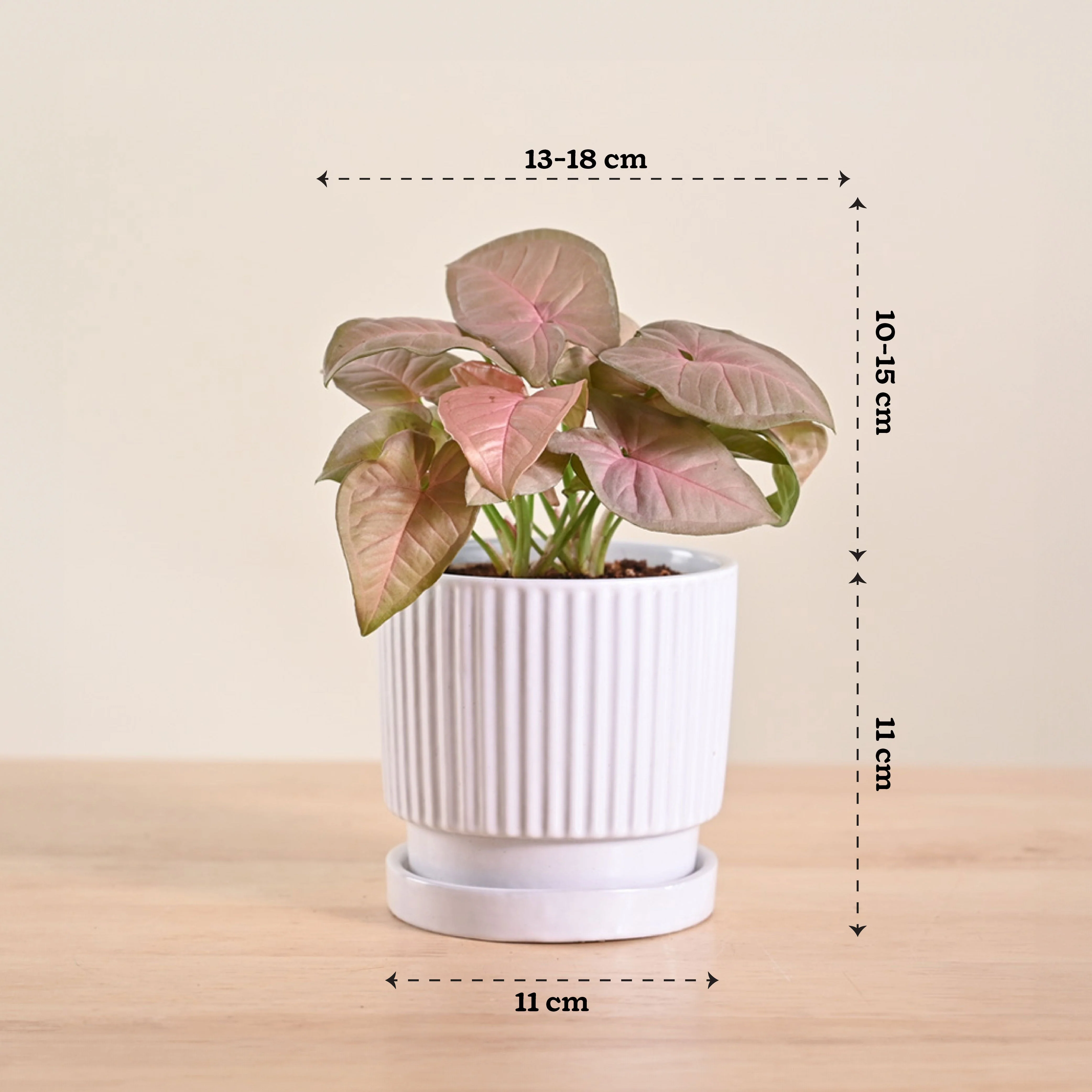 Product image 131