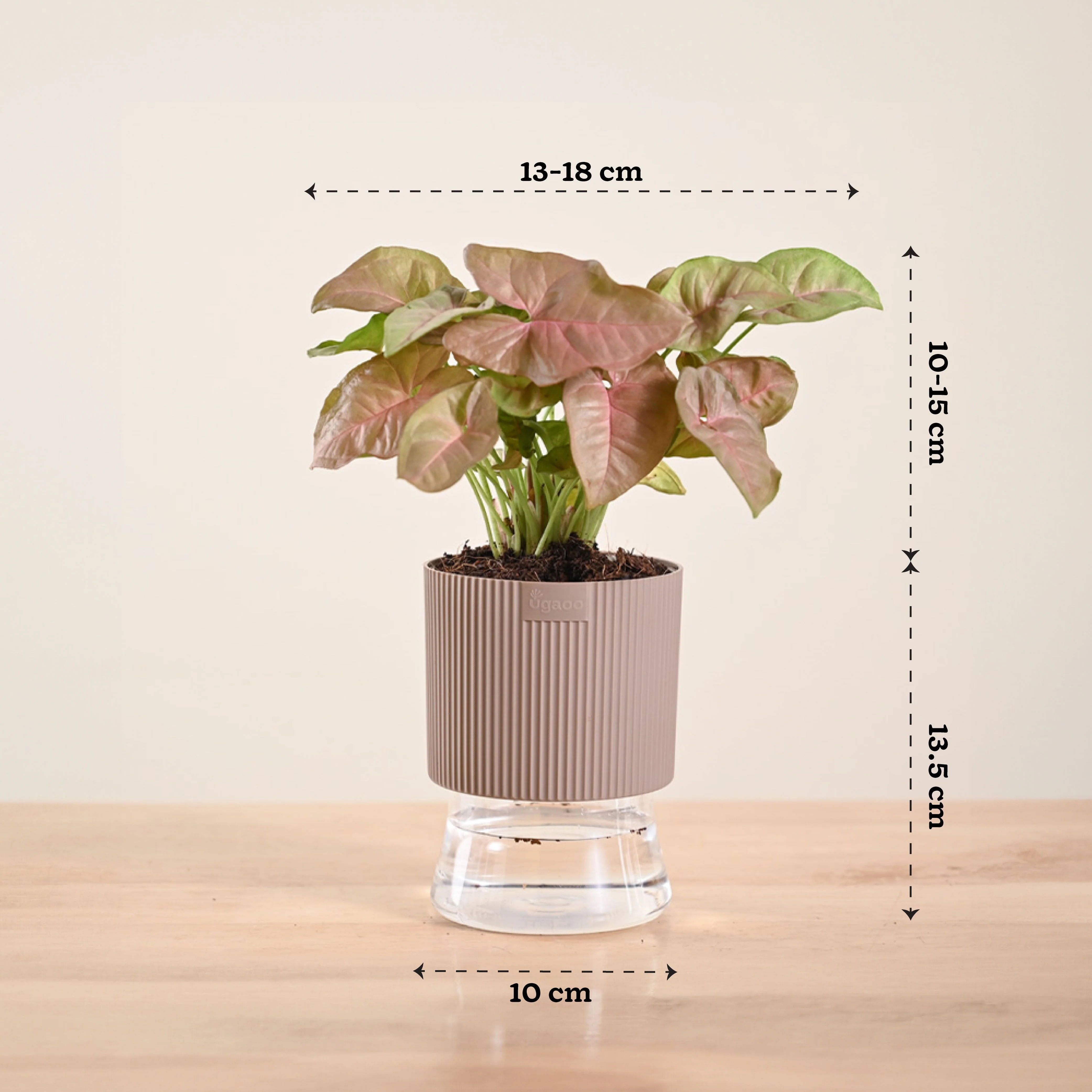 Product image 137